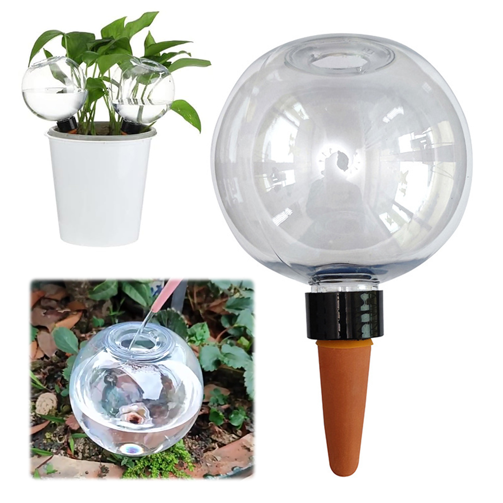500ML Selbstbewässernde Kugeln – Plant Watering Globe Bewertung und Preis