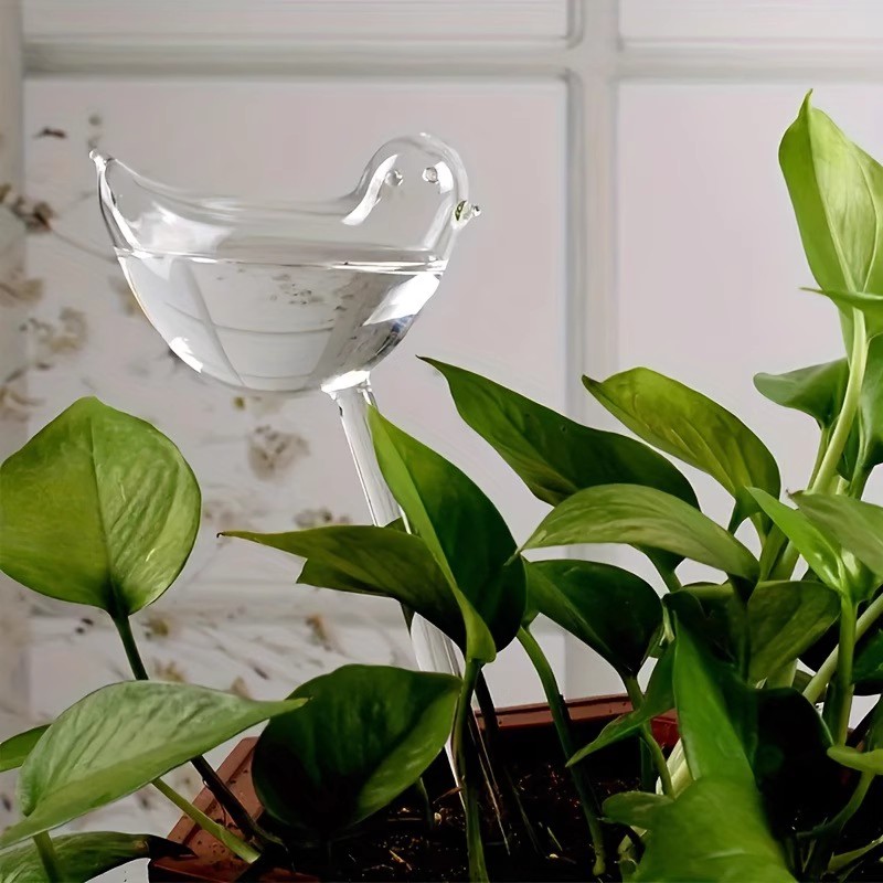 Selbstbewässernde Kugeln in Vo – Plant Watering Globe Bewertung und Preis