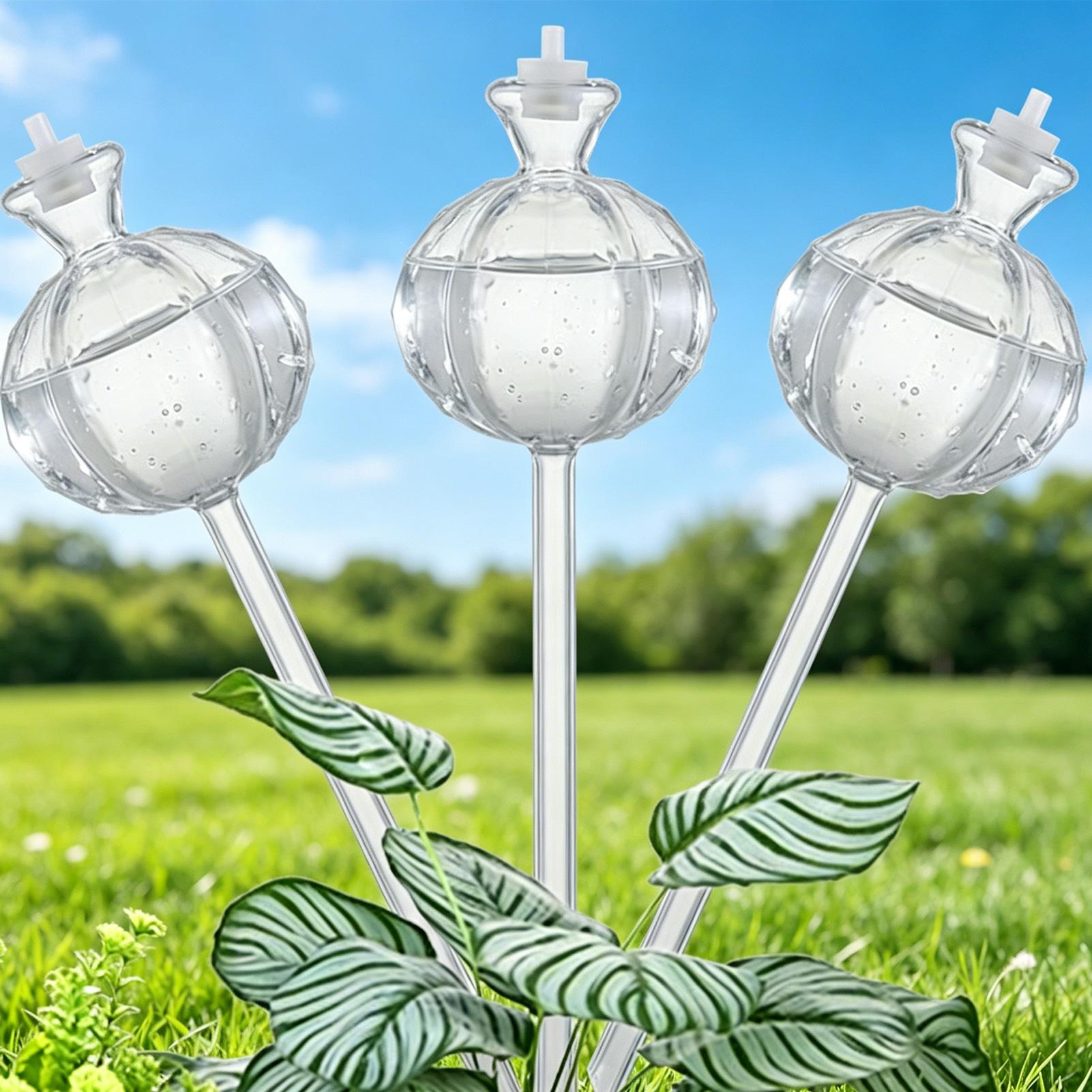 Selbstbewässernde Kugeln, 3 St – Plant Watering Globe Bewertung und Preis