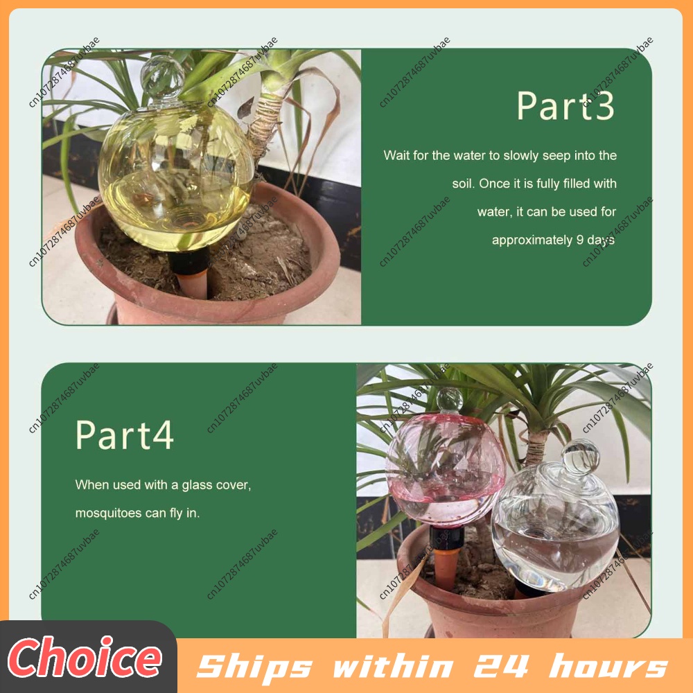 Automatische Selbstbewässerung – Plant Watering Globe Bewertung und Preis