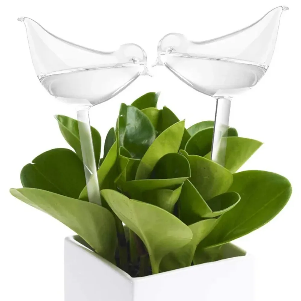 Automatisches Blumenbewässerun – Plant Watering Globe Bewertung und Preis