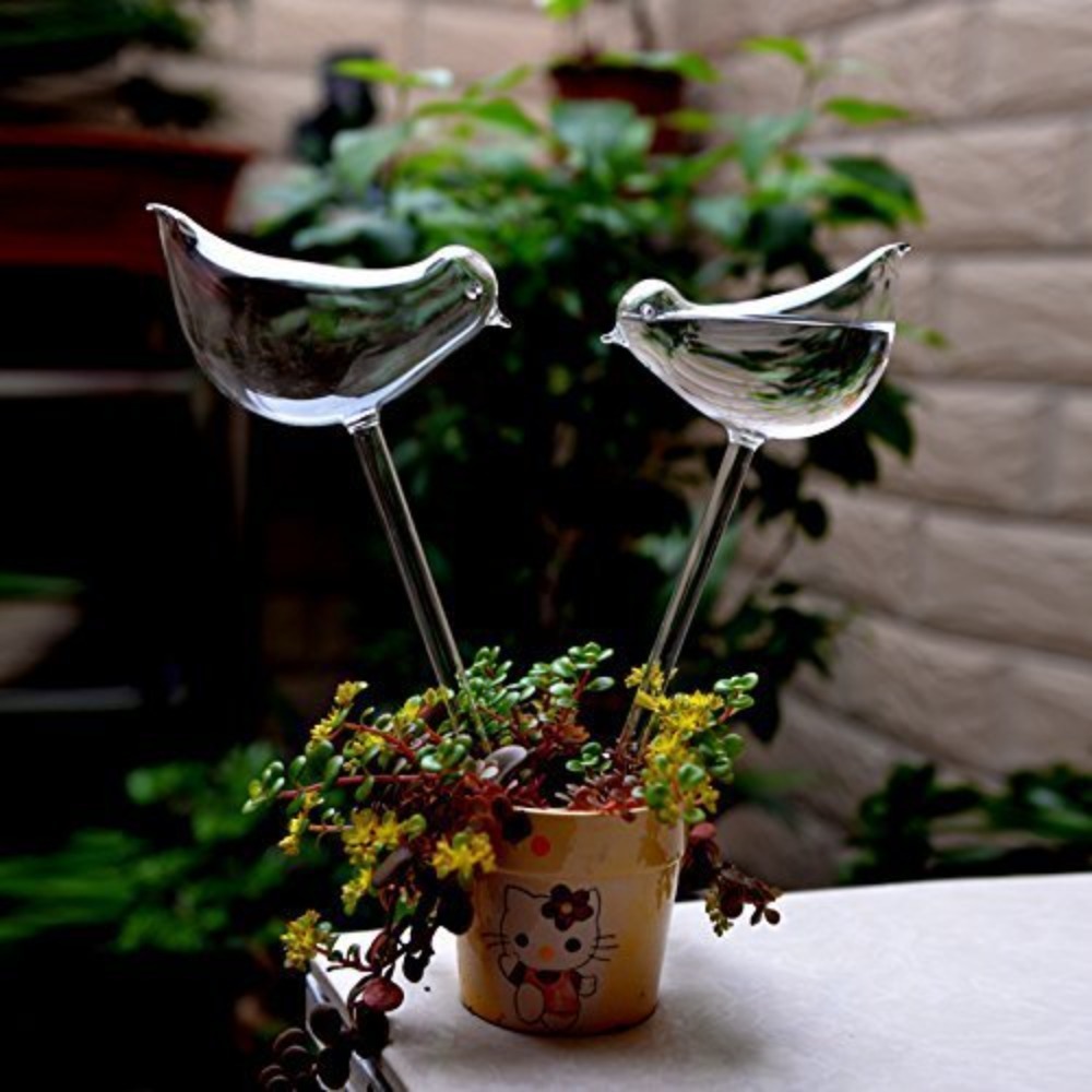 Automatisches Blumenbewässerun – Plant Watering Globe Bewertung und Preis