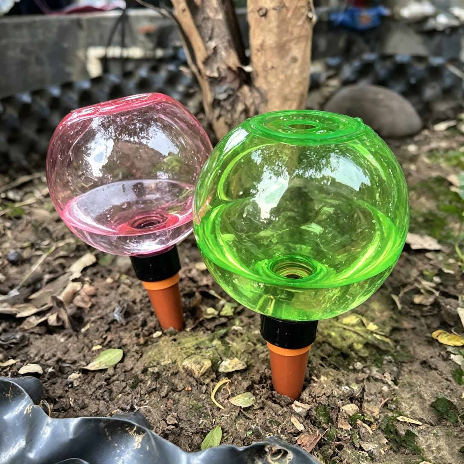1/4 Stück Bewässerungskugeln,  – Plant Watering Globe Bewertung und Preis