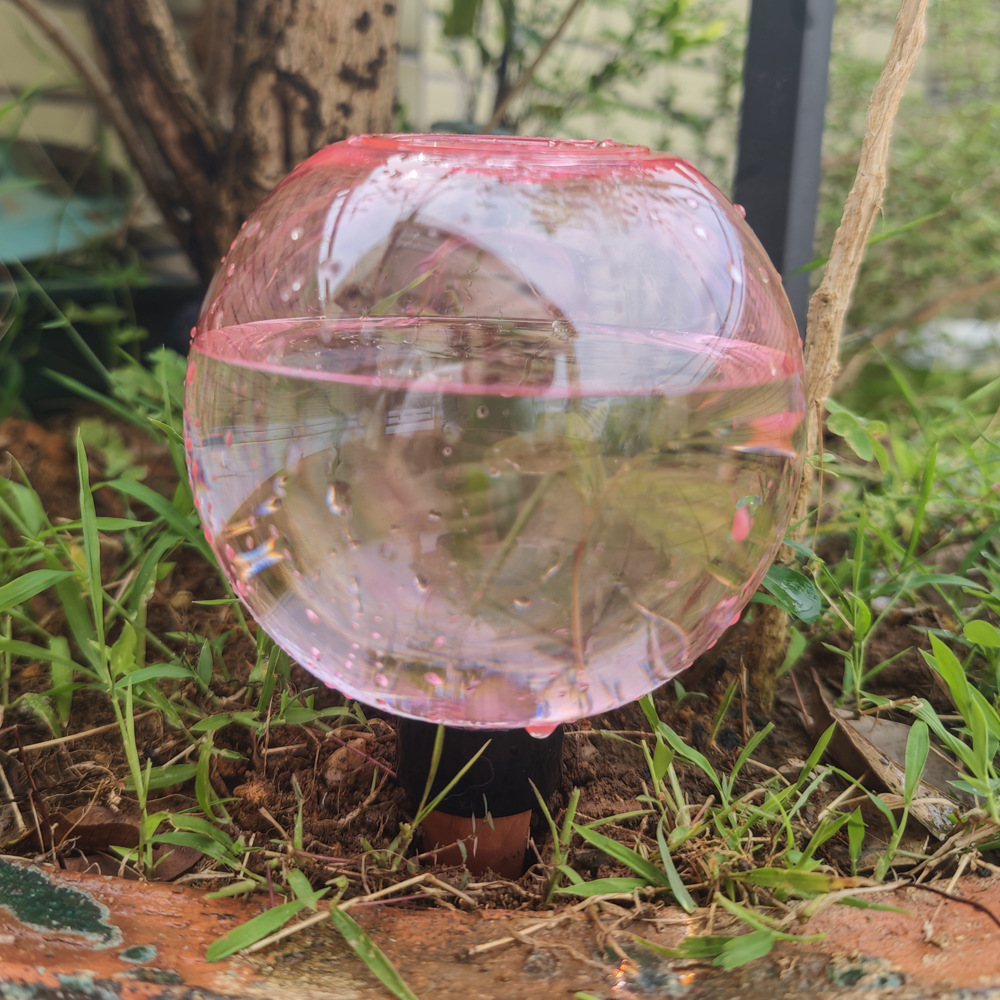 1/4 Stück Bewässerungskugeln,  – Plant Watering Globe Bewertung und Preis