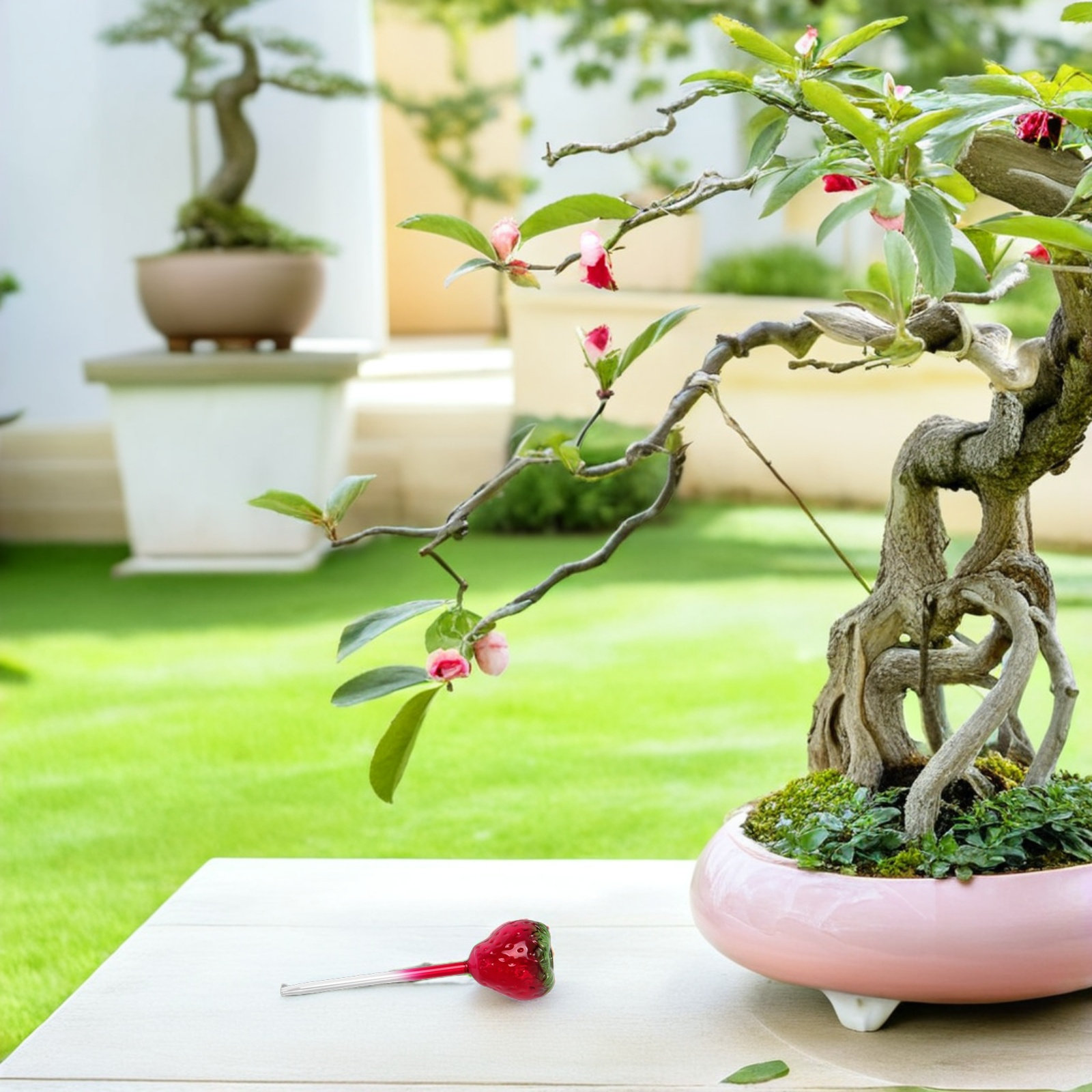 2 Stück Glas-Erdbeer-Pflanzenb – Plant Watering Globe Bewertung und Preis