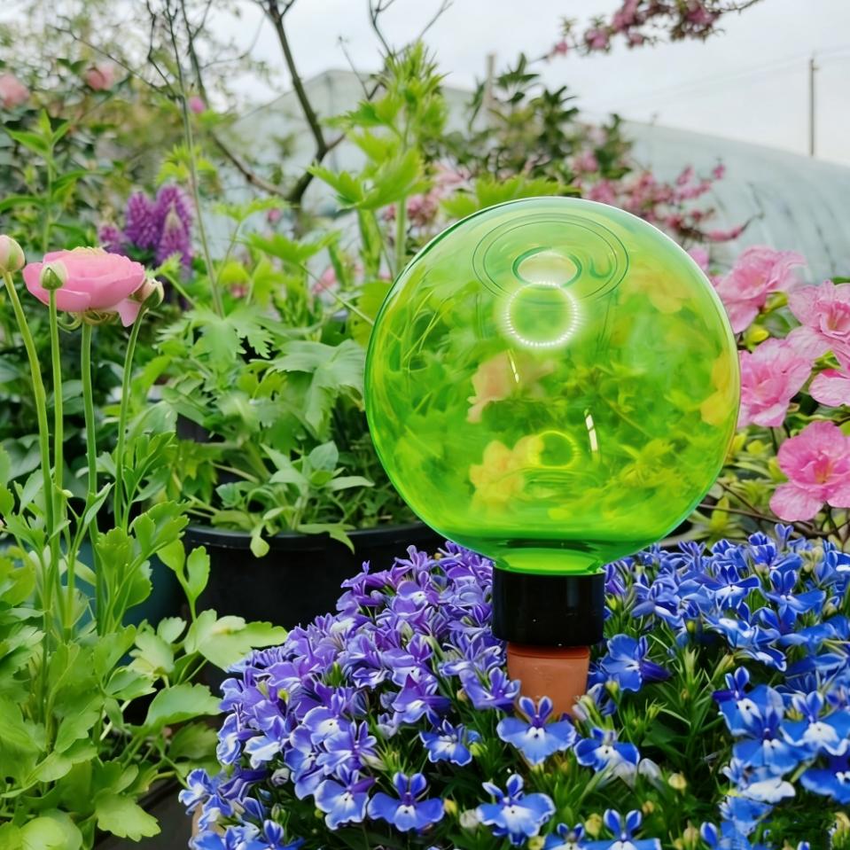 3er-Set große selbstbewässernd – Plant Watering Globe Bewertung und Preis