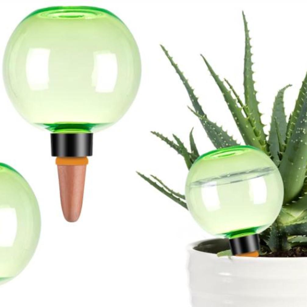 3er-Set große selbstbewässernd – Plant Watering Globe Bewertung und Preis
