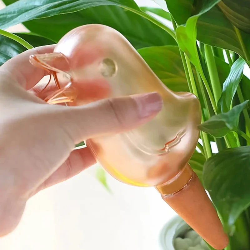 Hochwertiger automatischer Blu – Plant Watering Globe Bewertung und Preis