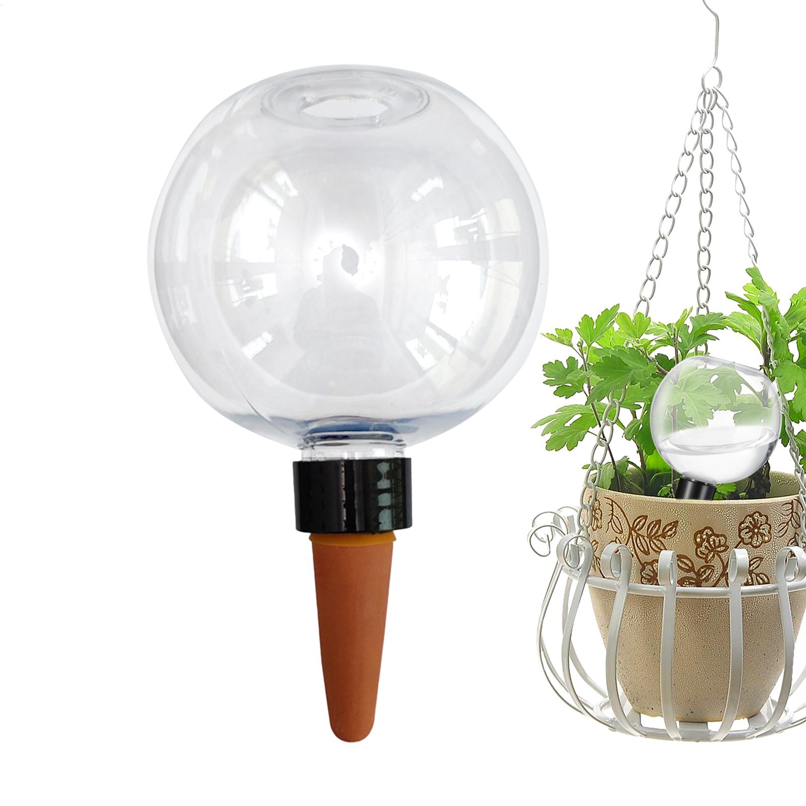 500 ml automatische Pflanzenbe – Plant Watering Globe Bewertung und Preis