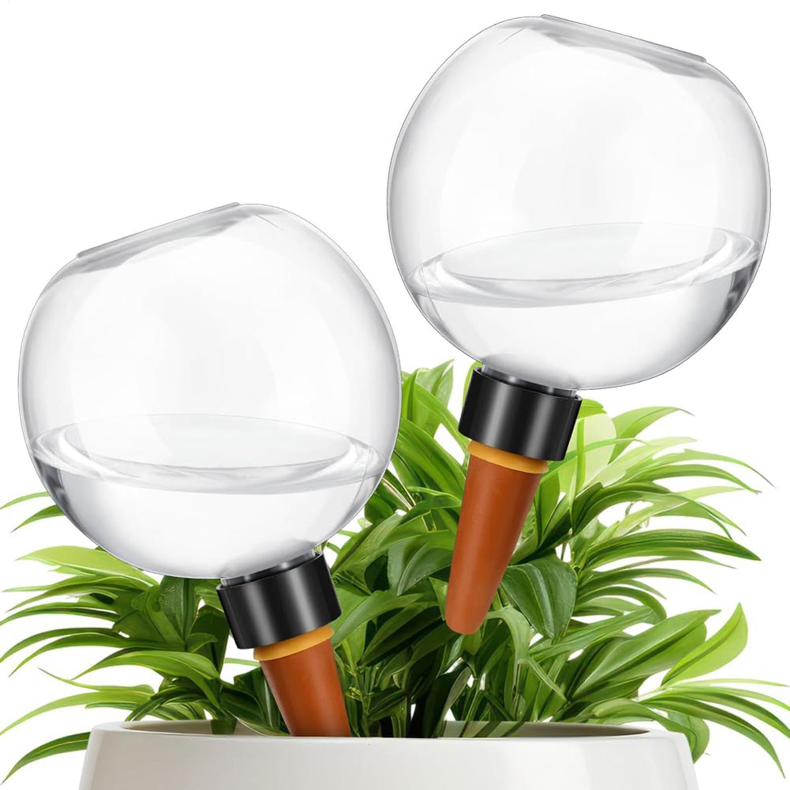 500 ml automatische Pflanzenbe – Plant Watering Globe Bewertung und Preis
