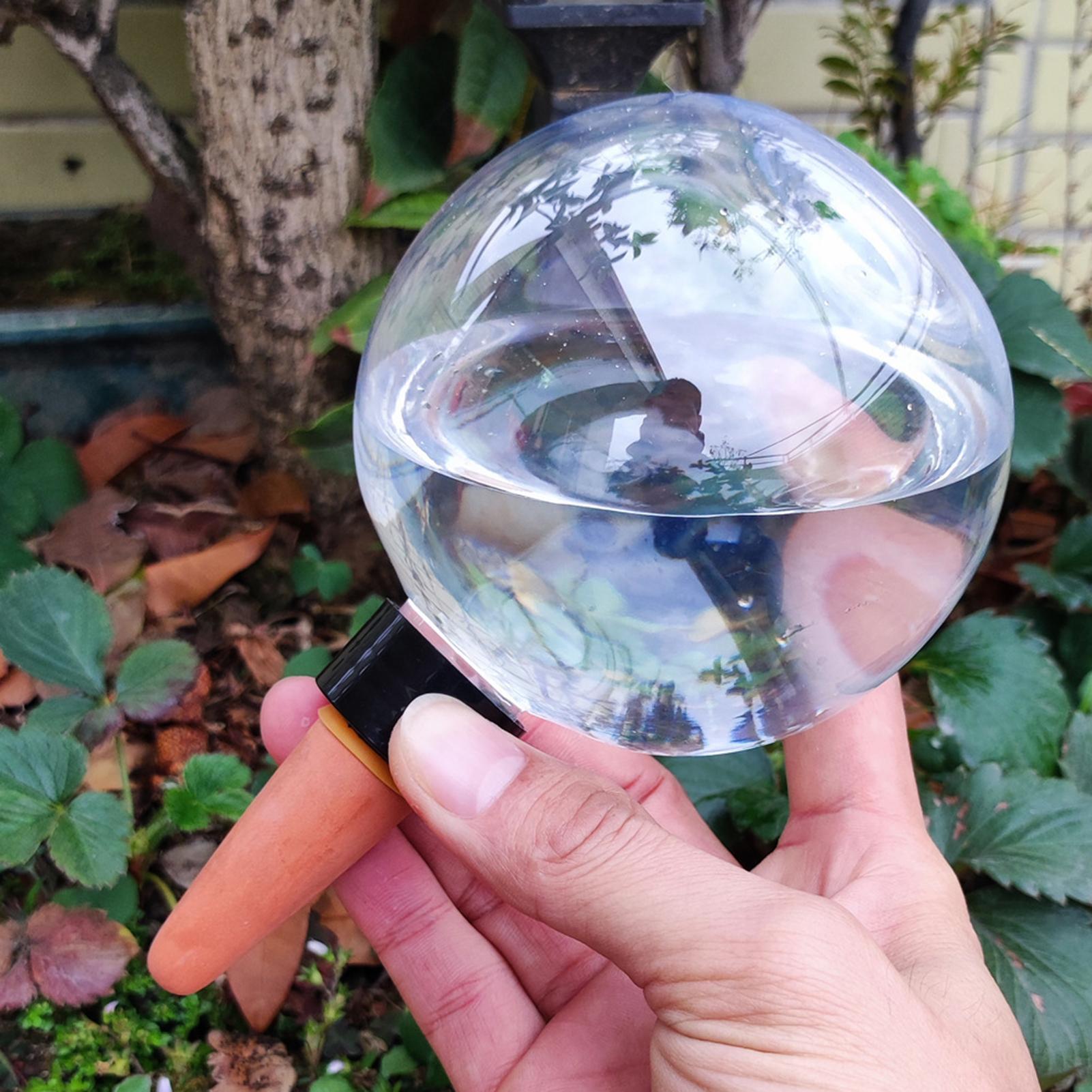 500 ml automatische Pflanzenbe – Plant Watering Globe Bewertung und Preis