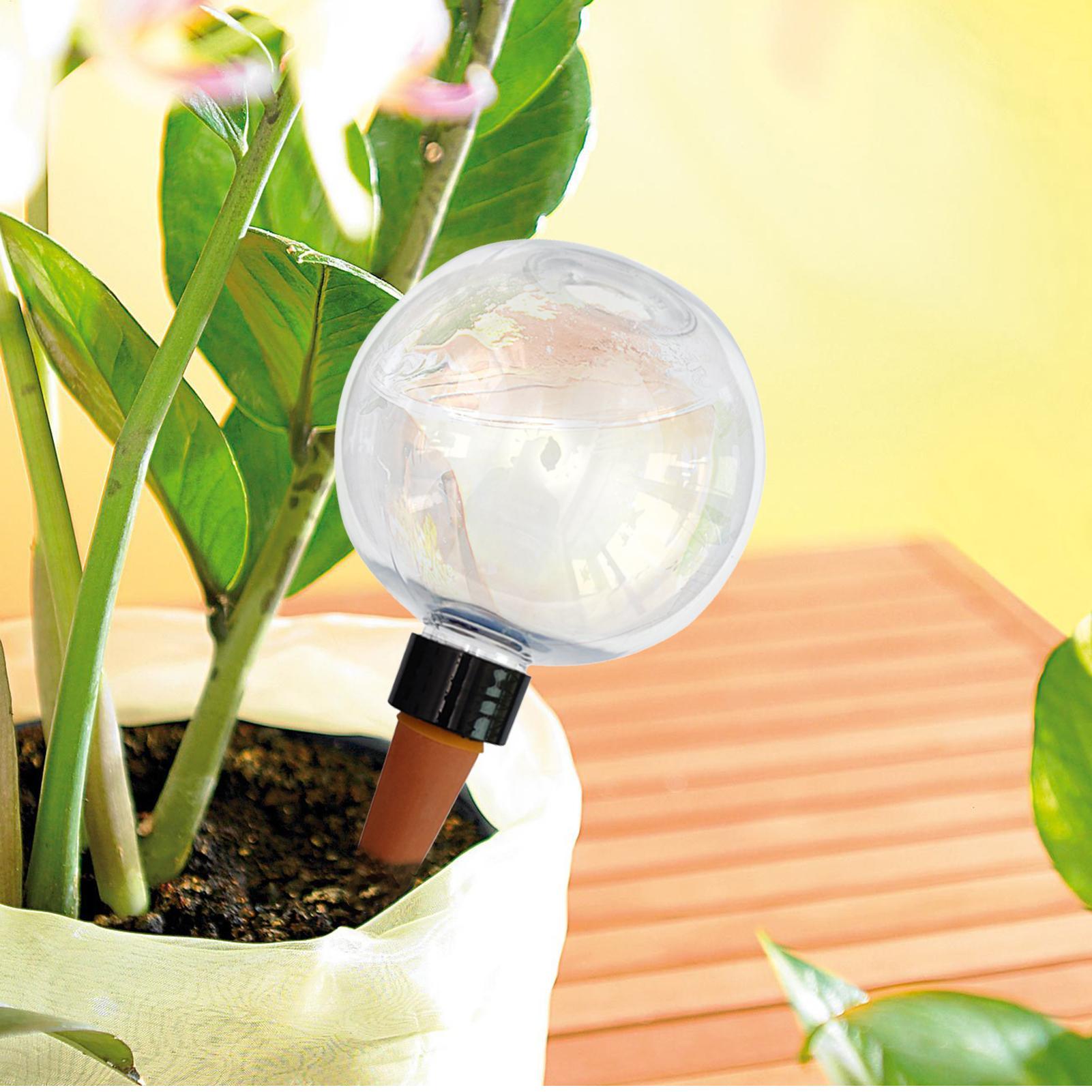 500 ml automatische Pflanzenbe – Plant Watering Globe Bewertung und Preis