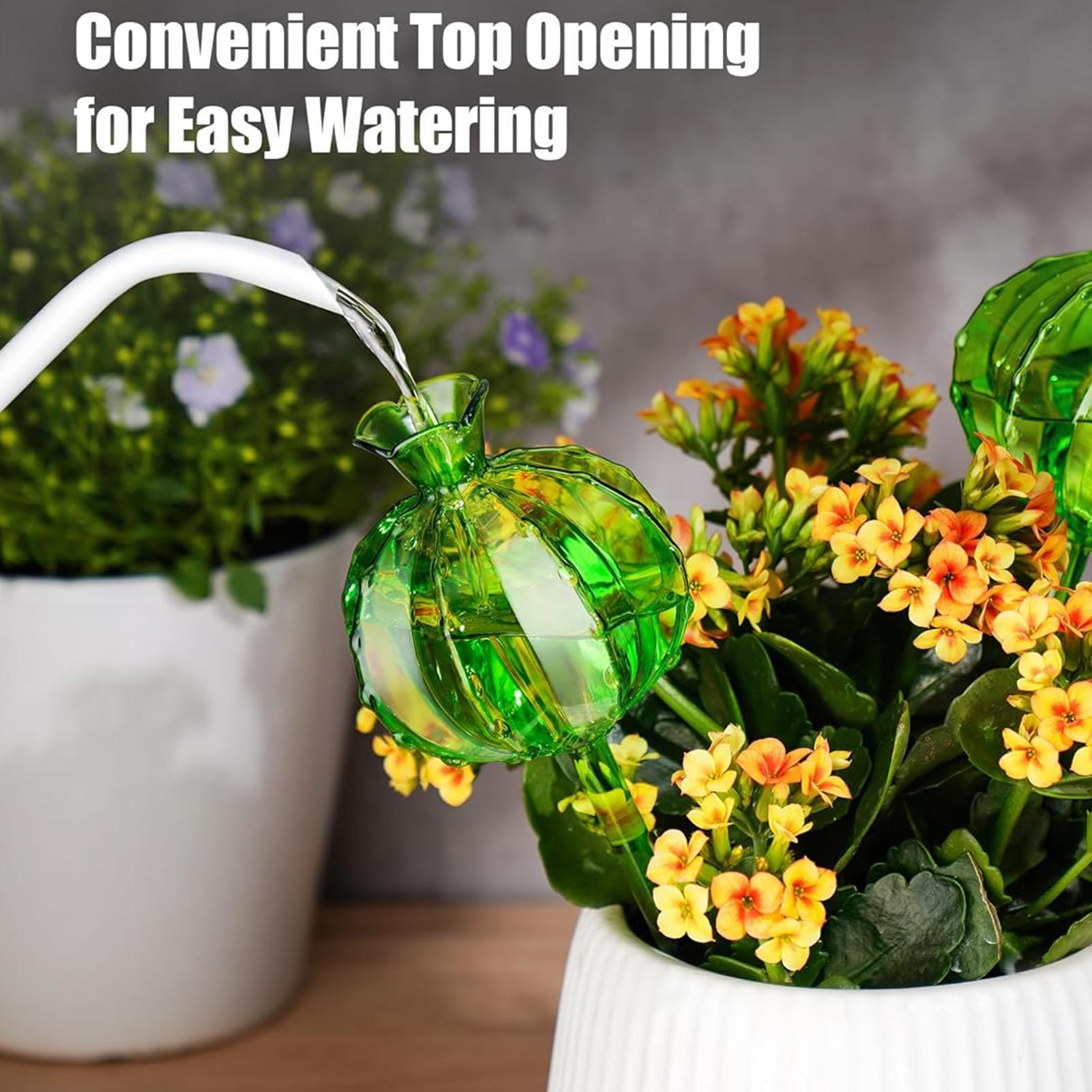 Pflanzenbewässerungskugeln, 3  – Plant Watering Globe Bewertung und Preis